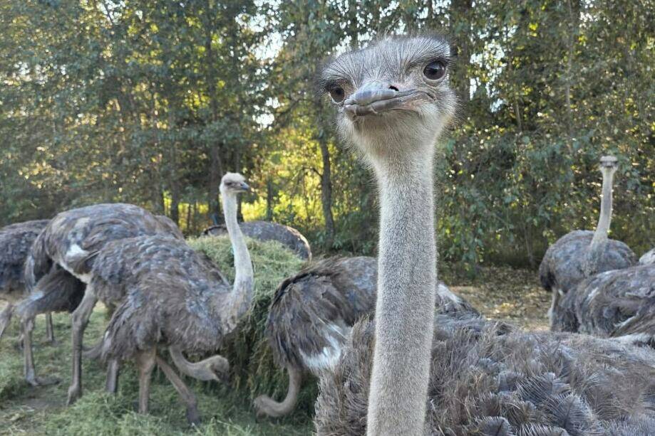 2025 IN REVIEW: A look back at news stories that dominated headlines in B.C.