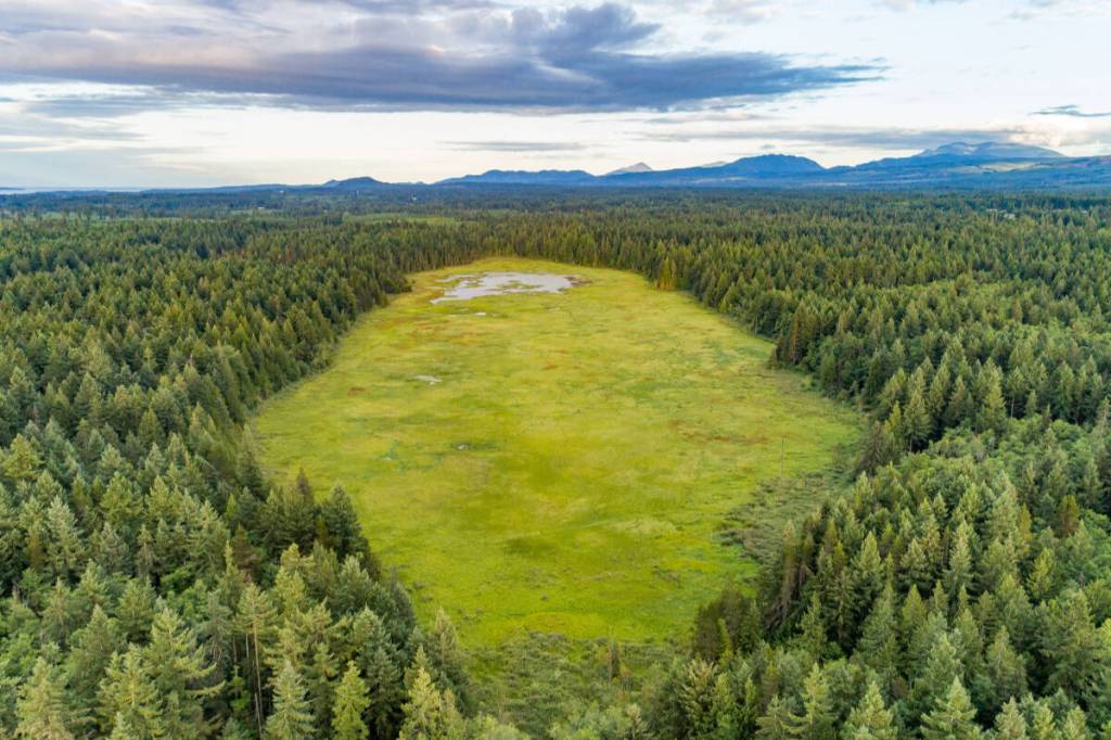 RDN secures money for Hamilton Marsh with government and non-profit help