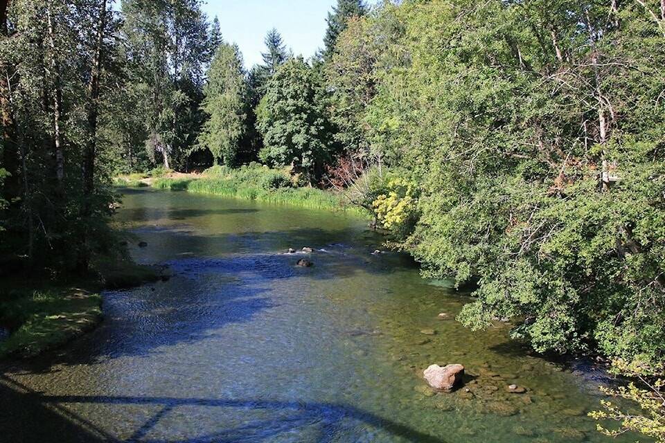 Mosaic Forest Management launching watershed pilot project in Cowichan
